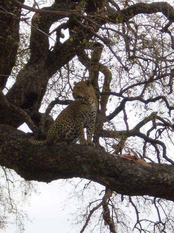Manzini River House - Mjejane Private Game Reserve, Greater Kruger National Park Hectorspruit Екстер'єр фото